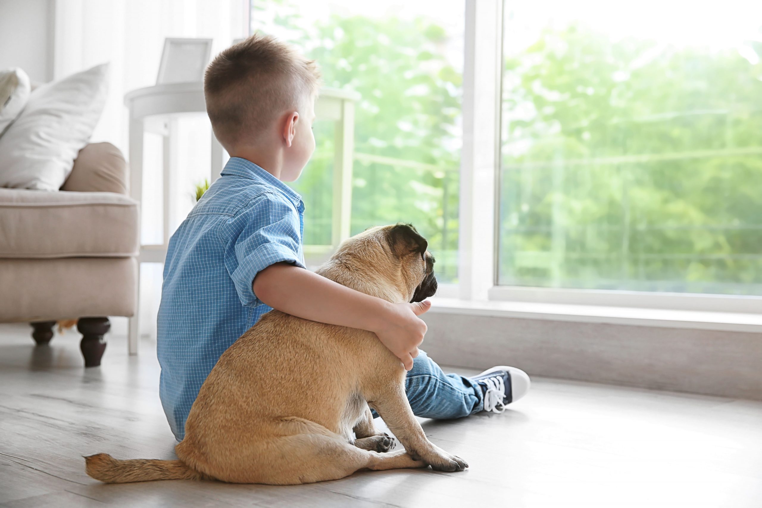 Zu sehen ist ein Kind, das mit einem Hund vor einem großen Fenster sitzt und nach draußen blickt.